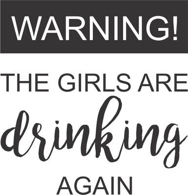 Warning! The girls are drinking again Insulated Pilsner 14 oz