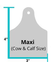 AF Maxi 25's Complete