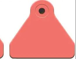 AF Sheep Mini Red Comp 25s