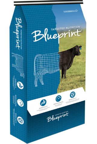 BP Calving/Breeder (Garlic) 25KG