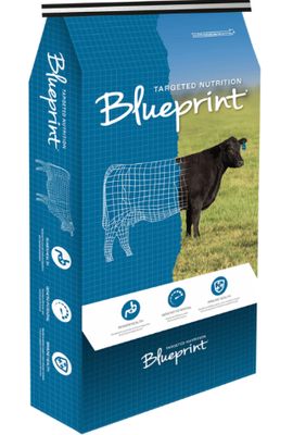 BP Calving/Breeder (Garlic) 25KG