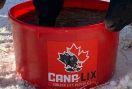 CANA-LIX Sheep 21% lick tub 125LBS