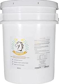Camelina Oil Equine 18.9L