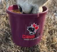 Cana-Lix Horse Pail 40 lb