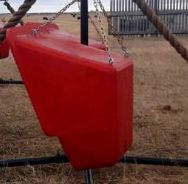Cattle Oiler Feeder w. Harness