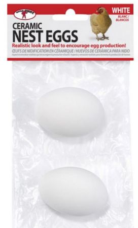 Ceramic Nest Eggs White 2Pk