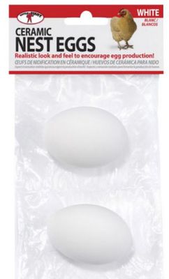 Ceramic Nest Eggs White 2Pk