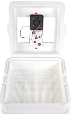 Circulated Air Incubator