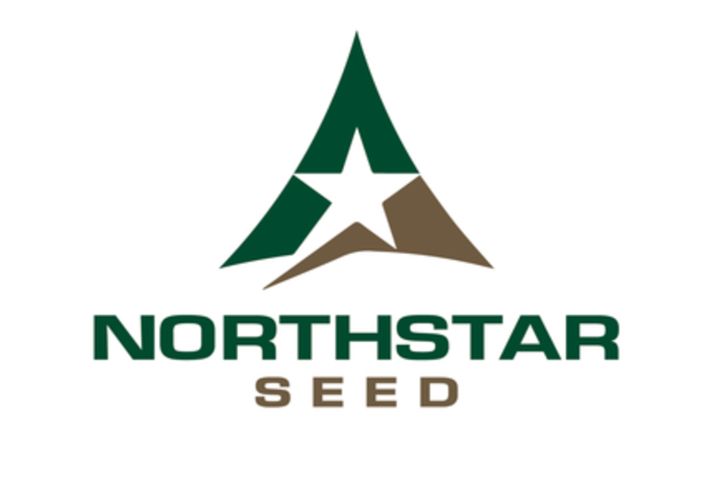 Dryland Lawn Mix 25Kg