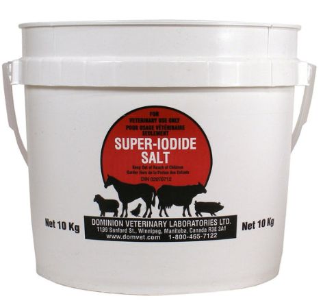 DVL Super Iodide Salt 10kg