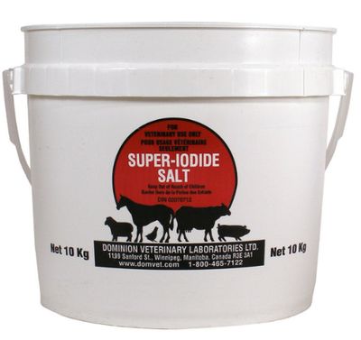 DVL Super Iodide Salt 10kg