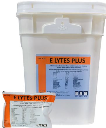 Elytes Plus- 10kg
