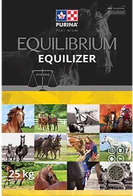 Equilibrium Equalizer