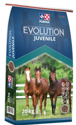 Evolution Juvenile