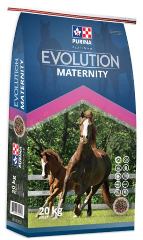 Evolution Maternity