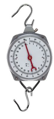 Hanging Dial Scale 250kg