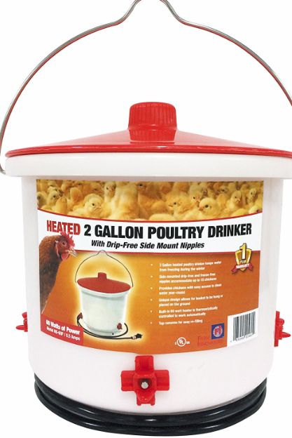 Heated Poultry Drinker