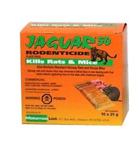 Jaguar Place Pac 10 x 25 GM