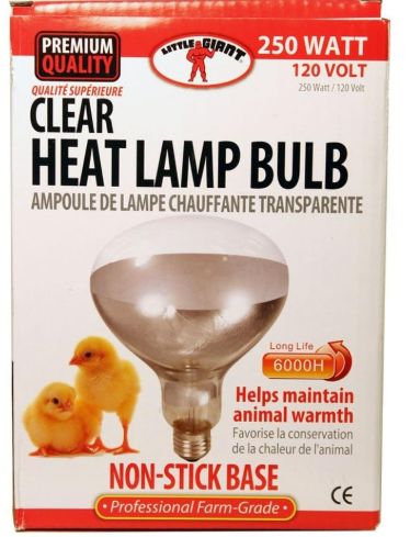 Little Giant- Clear Heat Lamp- 250W