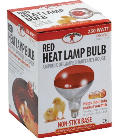 Little Giant Red Heat Lamp-250W