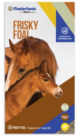 Masterfeeds 17% Frisky Foal Pellet 25KG