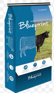 Masterfeeds BluePrint Beef Winter PX 25KG
