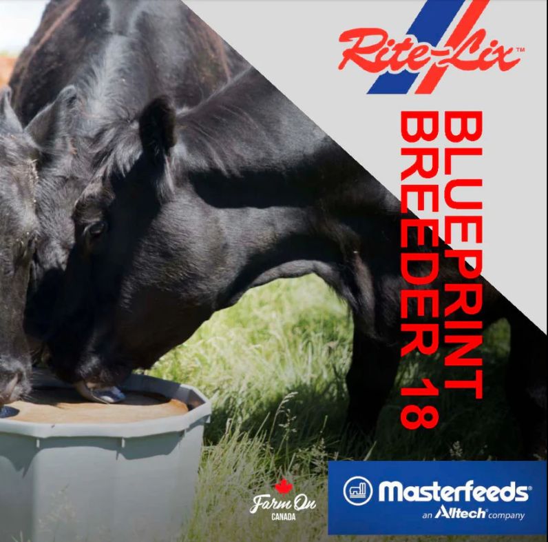 Masterfeeds BluePrint Breeder 18 200LB