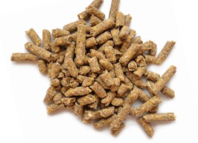 Masterfeeds Cool GI 25KG