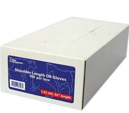 OB Gloves Hvy Duty 100pk