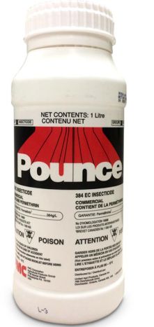 Pounce 384EC 1L