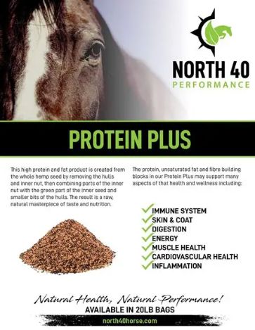 Protein Plus 20Lb