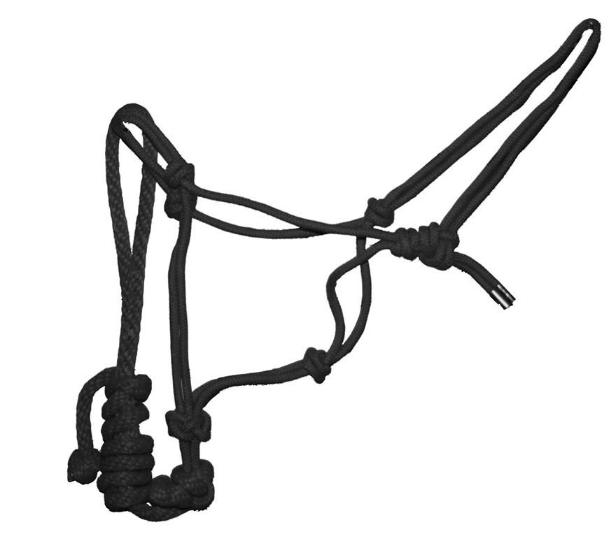 Rope Halter Knotted With Lead