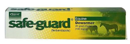 Safeguard Paste 25gm
