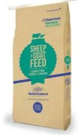 Shepherd Breeder Sheep