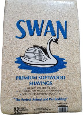 Swan Shavings