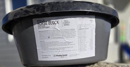 Masterfeeds Rite-Lix Horse Block 60LB