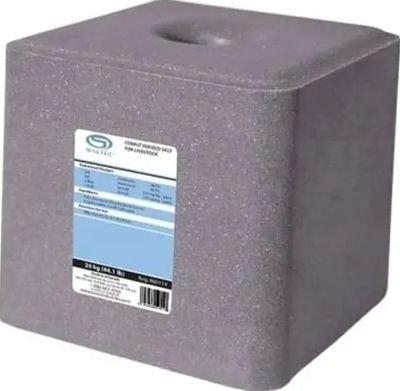 Salt Block- Blue (Saltec)