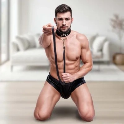 Collars &amp; Leashes