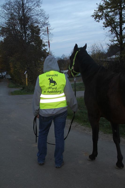 Warnweste "Vorsicht Pferd in Ausbildung!"