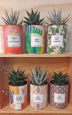Cactus