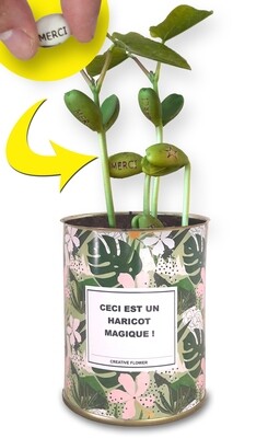 Haricot Magique Art déco &quot;FLOWER&quot;