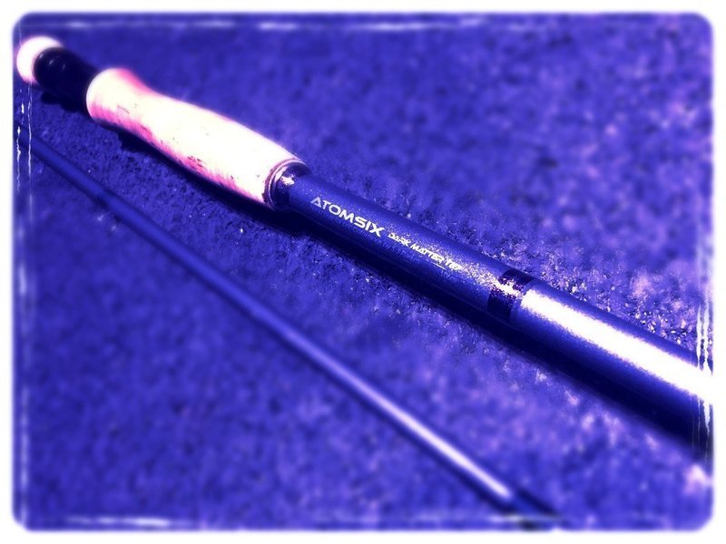 Atomsix Dark Matter 27g Sea Trout Distance Rod