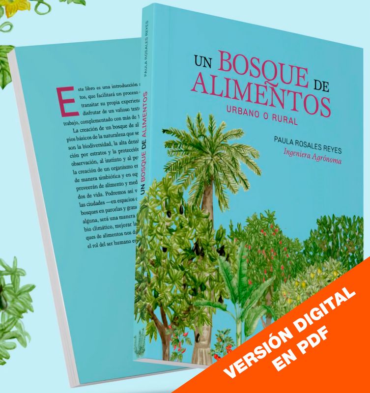 Un bosque de alimentos (Versión Digital descargable). Por Paula Rosales Reyes