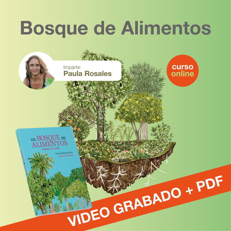 Curso Bosque de Alimentos (Grabado) + Un bosque de alimentos (Versión Digital descargable). Por Paula Rosales Reyes