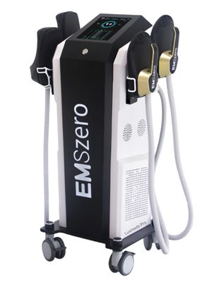 EMS Muscle Stimulation