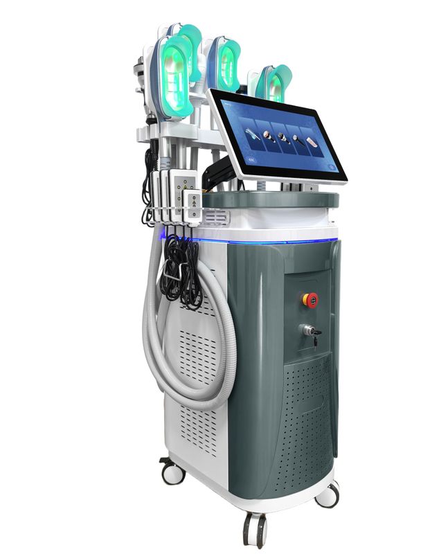 Luxmeds 360 Degree Cryolipolysis Machine