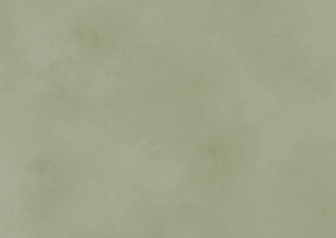 Siena ORGANIC GREEN 4 l Siena ORGANIC GREEN 4 l