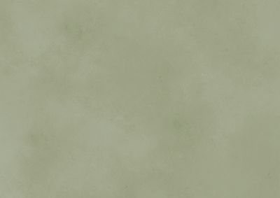 Siena ORGANIC GREEN 4 l