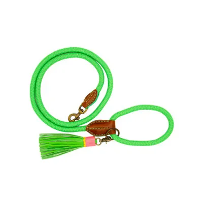 Hondenriem Apple Pie - S