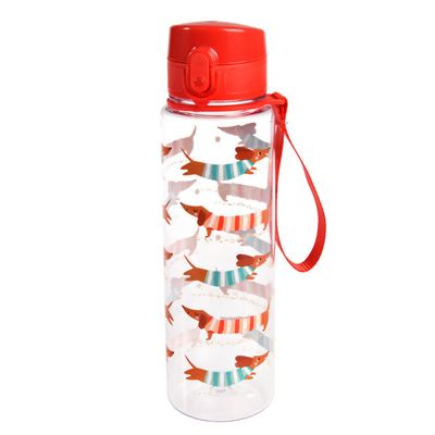 Drinkfles met drukknopdeksel 700 ml – Teckel